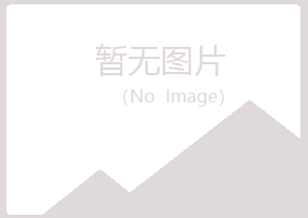 山阳县晓夏冶炼有限公司